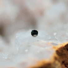 Load image into Gallery viewer, Threadless Prong-Set Gem Ends - Titanium